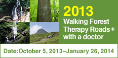 Walking Forest Therapy Roads ® with a Doctor in 2013.
